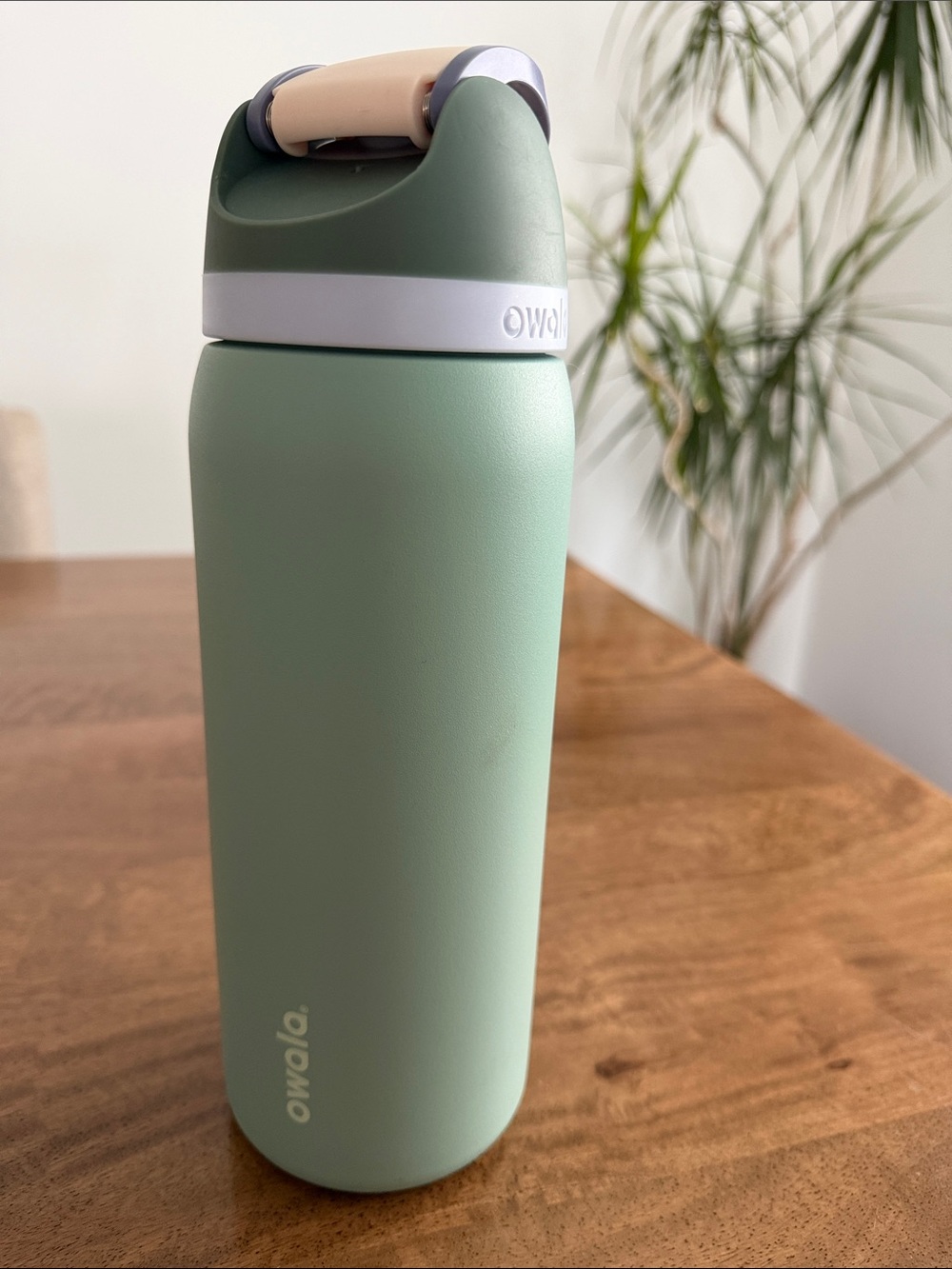 owala Free Sip Stainless Steel Water Bottle 32 oz Misty Meadow - Picture 2 of 4